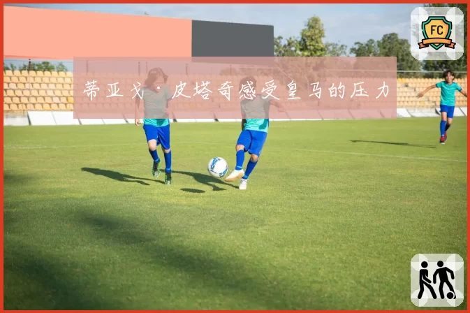 蒂亚戈·皮塔奇感受皇马的压力