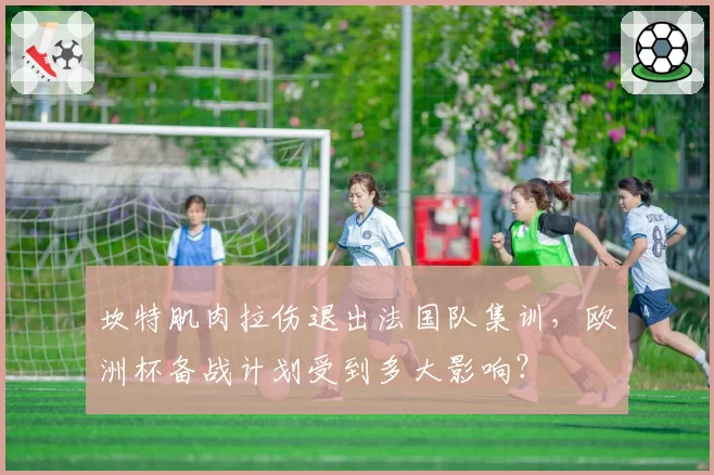 坎特肌肉拉伤退出法国队集训,欧洲杯备战计划受到多大影响?