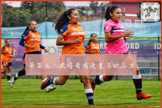 蒂亚戈·皮塔奇感受皇马的压力